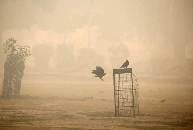 वातावरण में फैला धुआं घोषित हो राष्ट्रीय आपदा
