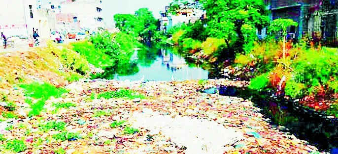 विधायक ने विकास और विपक्ष ने गिनाई समस्याएं