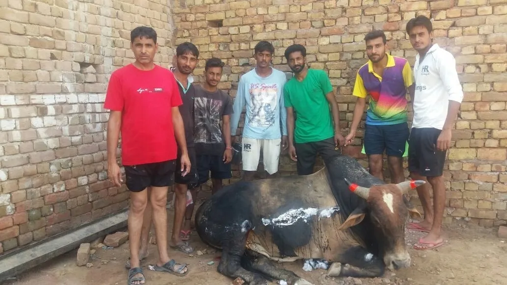दीनदुखियों का सहारा हैं ग्रीन एस के सेवादार