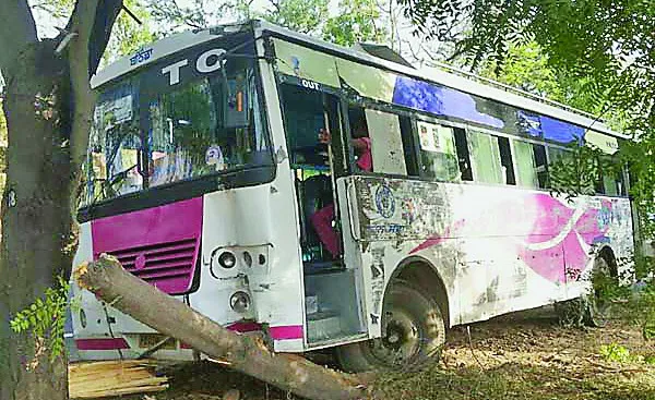 स्टेरिंग फेल, पेड़ से टकराई बस