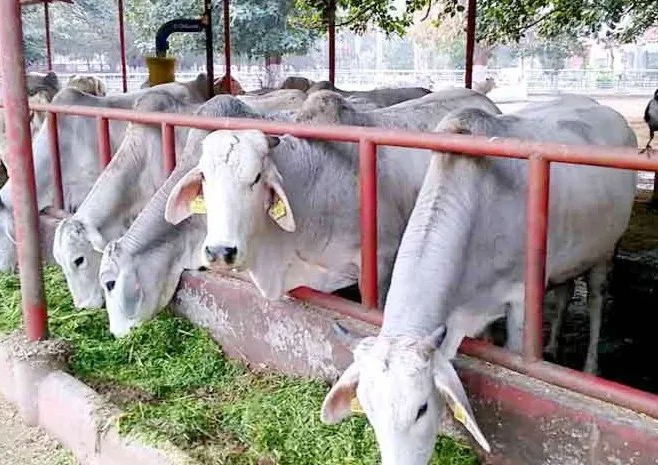 केंद्र सरकार के नोटिफिकेशन का विरोध