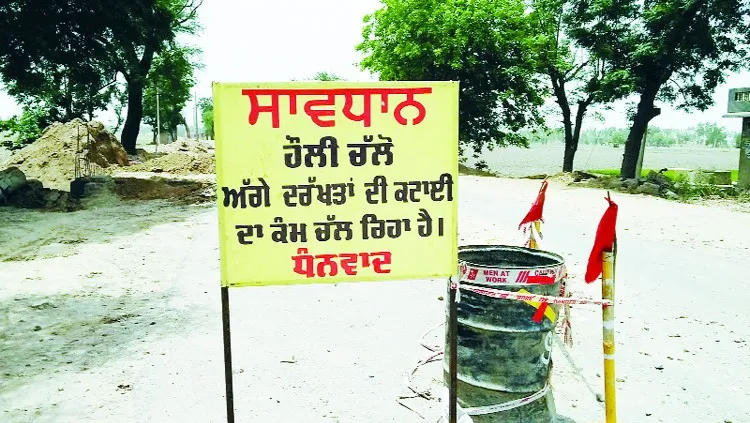 हरियाली के लिए महंगा साबित हो रहा है क्षेत्र का विकास