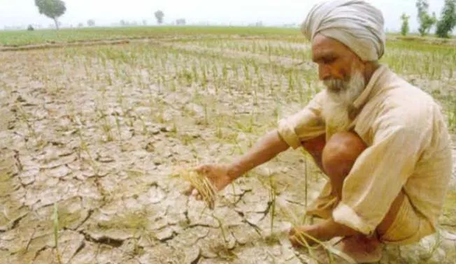 कृषि संकट के लिए सरकार व किसान गंभीर होें