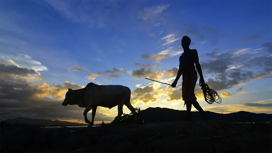 अन्नदाता कब तक बना रहेगा केवल मतदाता