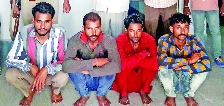धोलीपाल की रोही से किया था शिकार