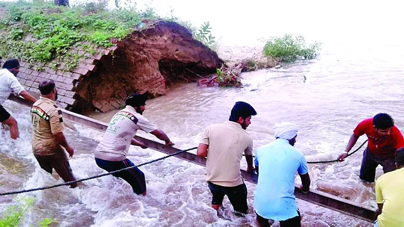 रजवाहे में दरार, धान की फसल बर्बाद