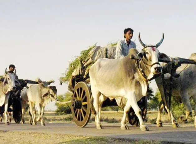 NRIs गोद लेंगे भारत के 500 गांव