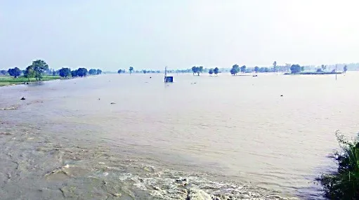 मदन हेड़ी के पास सुंदर ब्राच नहर टूटी