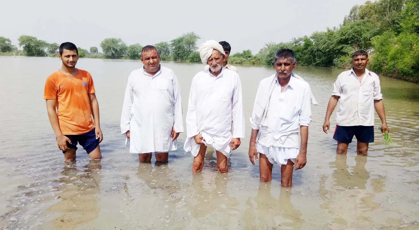पौली में बरसाती पानी की मार, 200 एकड़ में फसलें डूबी