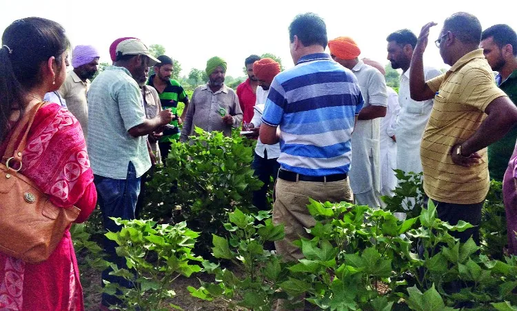 किसानों को जैैविक कृषि से जोड़ रहा थर्मल प्लांट