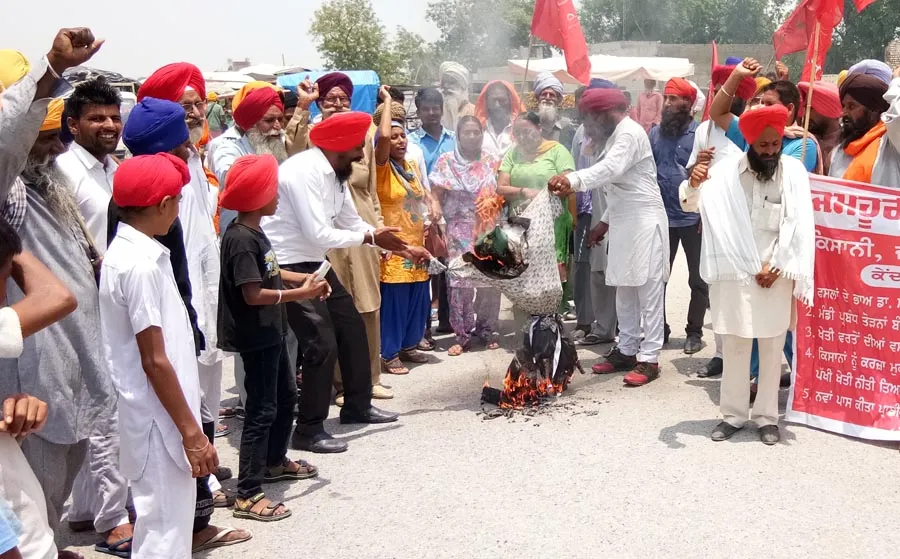 किसानों ने फूंका केंद्र व कैप्टन सरकार का पुतला
