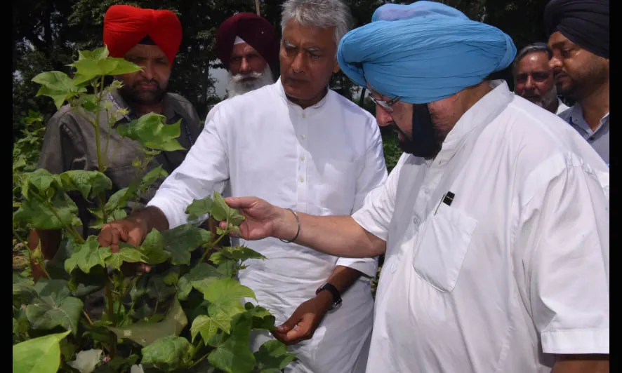 कैप्टन ने खराब फसलों का लिया जायजा