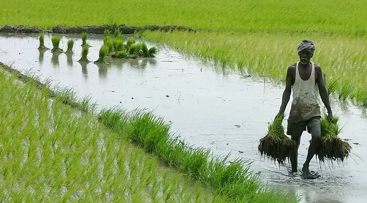 एसवाईएल मुद्दा: सुप्रीम कोर्ट जाएंगे किसान