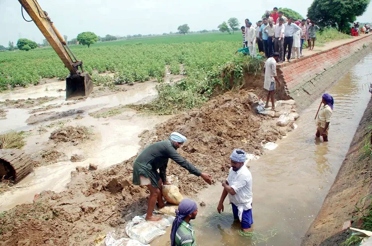 सलैज कैरियर में दरार, फसलें जलमग्न