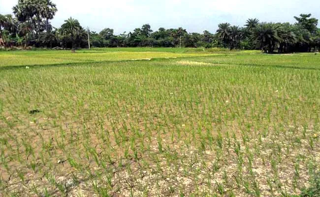 नहरी पानी चोरी को लेकर तनाव