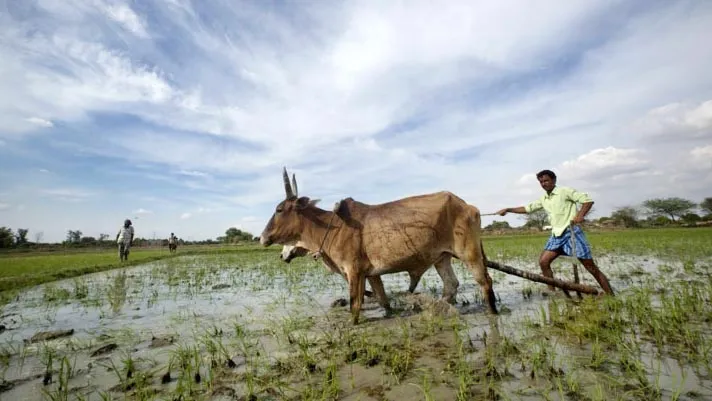 कर्ज माफी की डींगें व कृषि की हकीकत