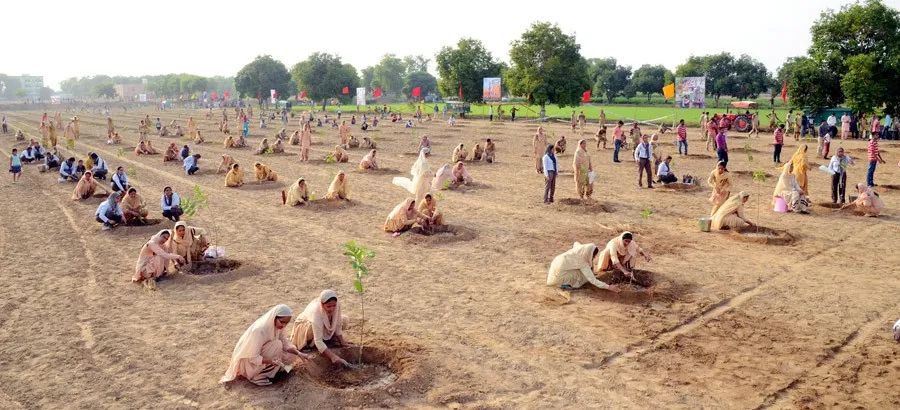 हरित क्रांति की मिसाल बना डेरा सच्चा सौदा