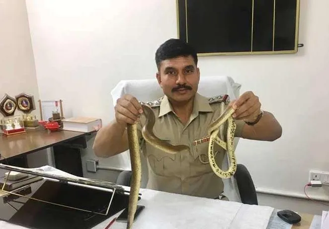 करोड़ों रु. के सांपों को लेकर कोर्ट पहुंची पुलिस