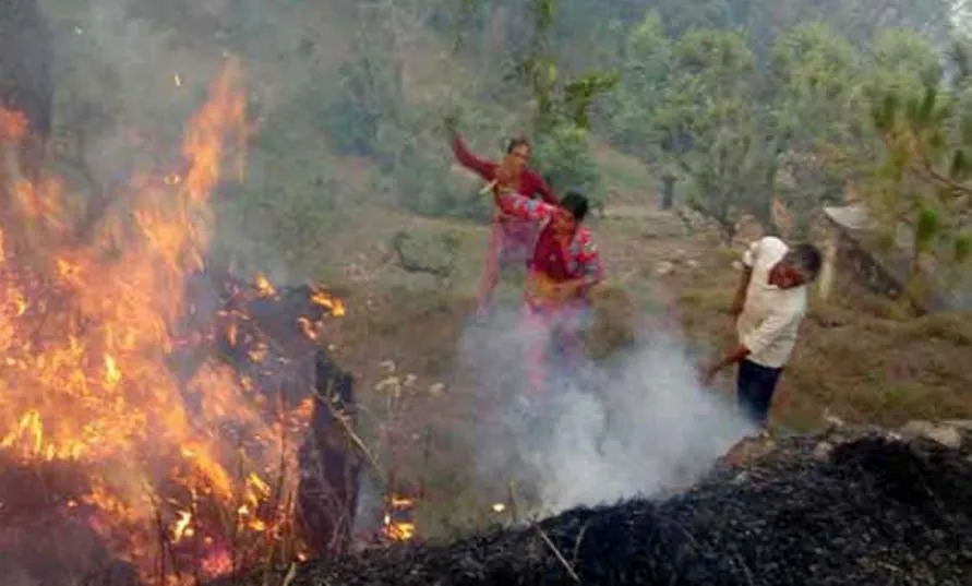 आग की लपटों से घिरा जंगल, बेजुबानों पर संकट
