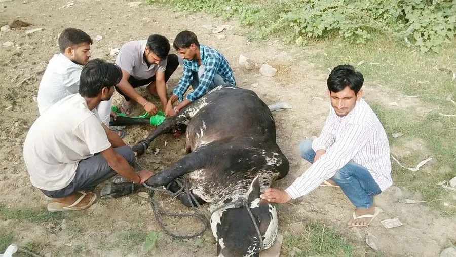 बेजुबानोंं की जान बचाता है यह ‘इन्सान’
