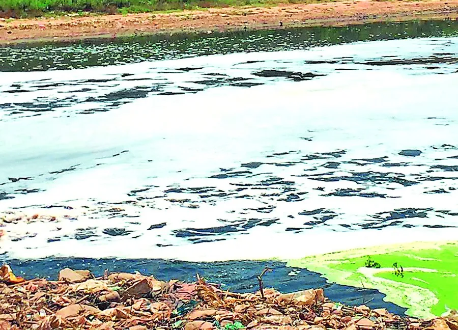 घग्गर दरिया में फैक्ट्रियों का जहरीला पानी लोगों को बांट रहा बीमारियां
