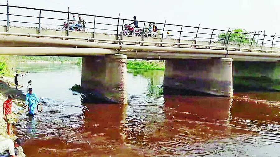 जहरीली हो गर्ईं नहरें, पानी में बहाया जा रहा कैमिकल