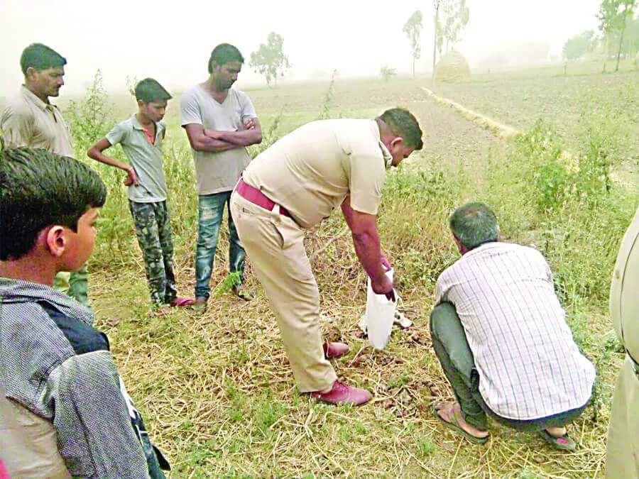 ये कै सी मां? मासूम को किया कुत्तों के हवाले