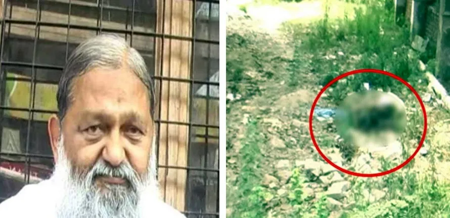 CMO अफिस के पीछे कुत्ते नोचते मिले मरीज का शव, मंत्री विज ने दिए जांच के आदेश