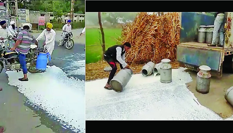 किसानों ने सब्जियां व दूध फैंककर जताया रोष