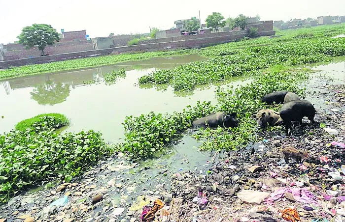 भारी मात्रा में हुई बरसात ने नगर निगम की बढ़ाई चिंता