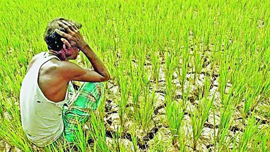 पुराने वायदों पर नई पॉलिश