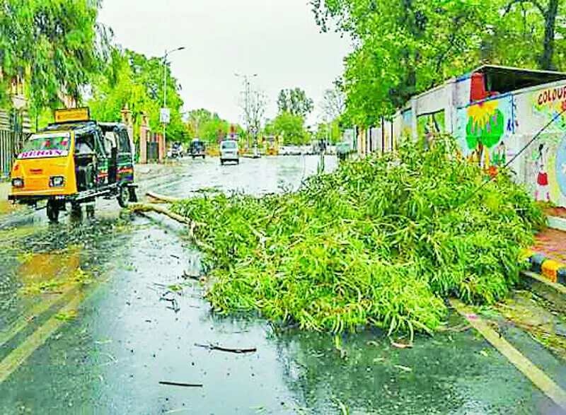 यूपी: तूफान ने फिर मचाया तांड़व,19 लोगों की मृत्यु