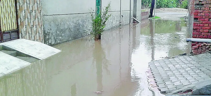 निकासी नालों की सफाई न होने के कारण लोग परेशान