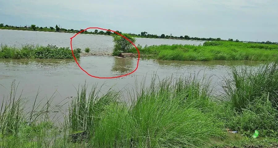 ड्रेन टूटने से सैंकड़ों एकड़ फसल पानी में डूबी