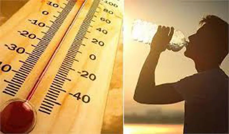गर्मी की तपिश से झुलसा हरियाणा , आज बारिश के आसार