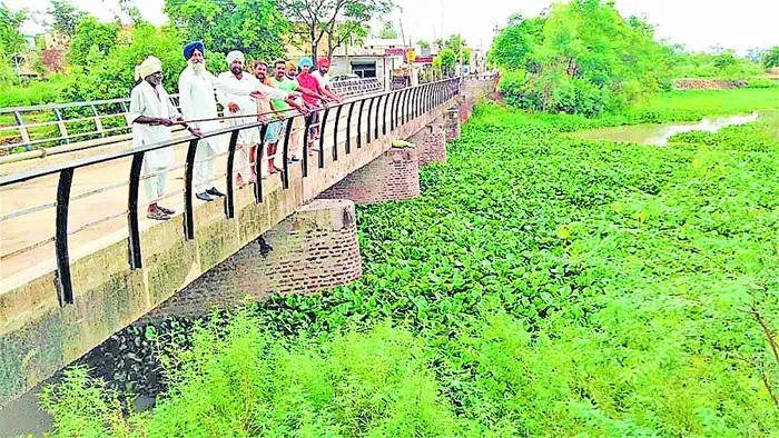 ड्रेन की जल्द सफाई न की तो हो सकता बड़ा नुक्सान: सरपंच