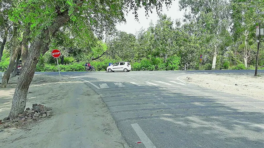 टी-प्वार्इंट पर लुटेरों की दहशत, शाम ढलते ही ढूंढते शिकार