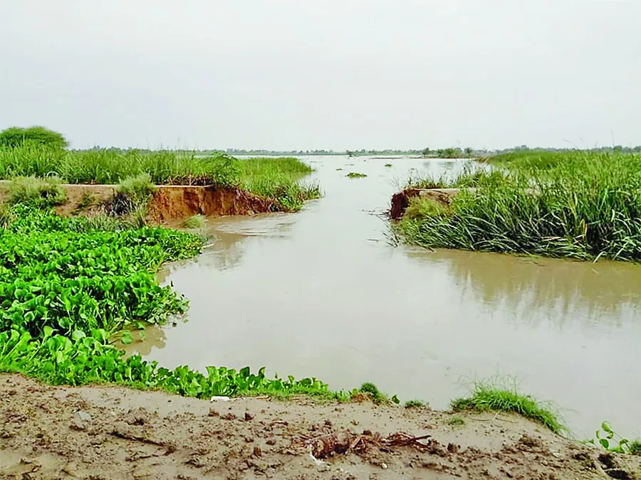 सेमनाले में 40 फुट का कटाव आने से सैंकड़ों एकड़ भूमि में भरा पानी