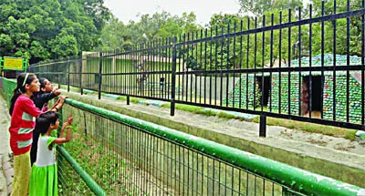 टाइगर व हिमालियन भालू के इंतजार में बीत गई छुट्टियां