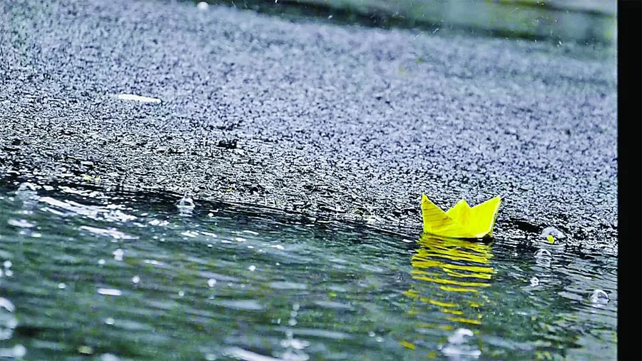 वर्षा जल संचयन से रोकें बारिश के पानी की बर्बादी