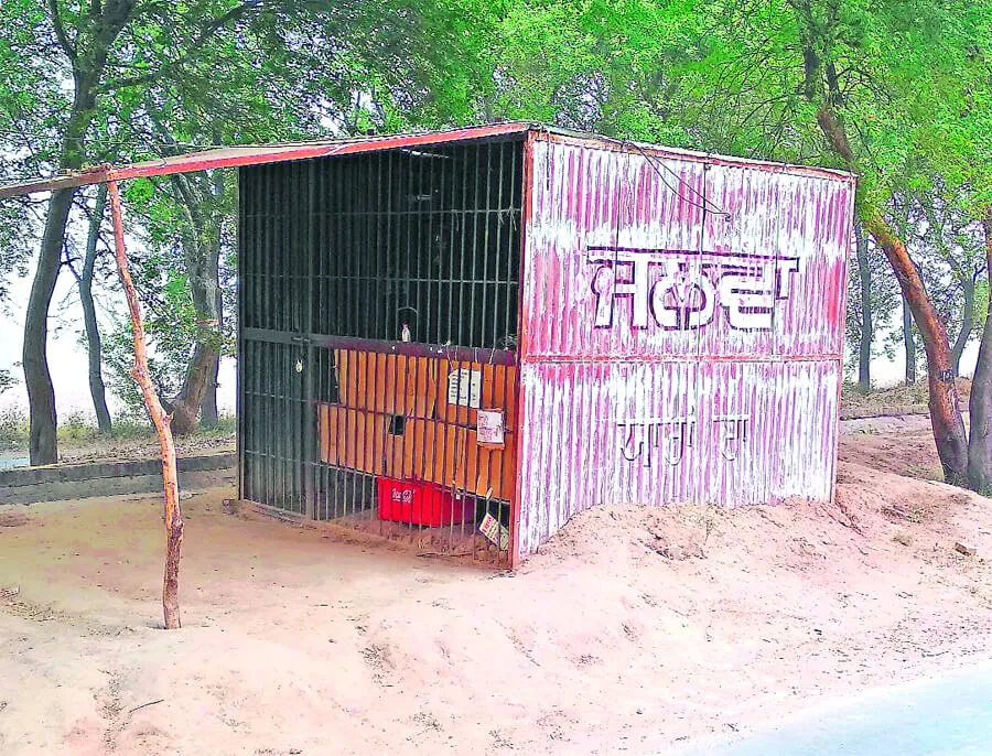 जहां लगाने थे पौधे, वहां उगा डाले मयखाने