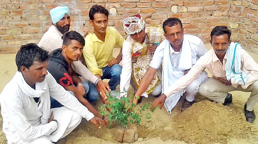 बारात लेकर आया दूल्हा लगाएगा पौधा