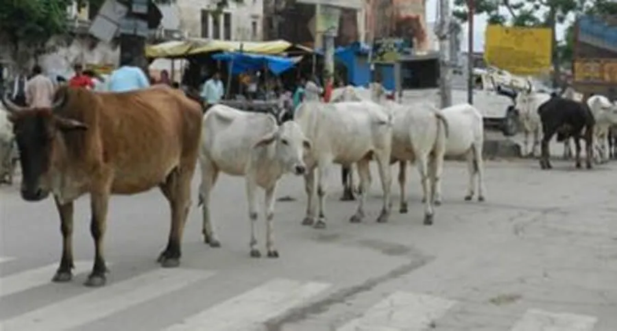 फतेहाबाद कोर्ट का ऐतिहासिक फैसला