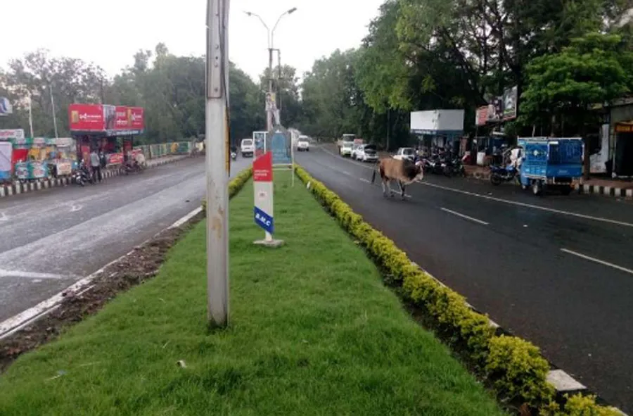 भोपाल में बारिश से मौसम खुशनुमा