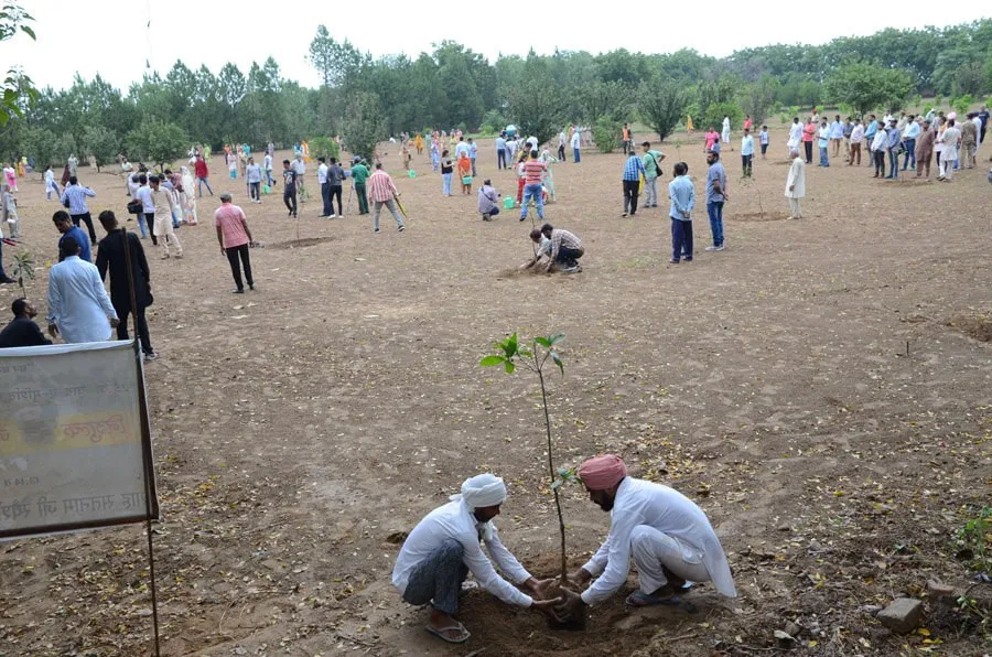 Incarnation Day, Humanitarian Works, Dera Sacha Sauda, Saint Dr. MSG