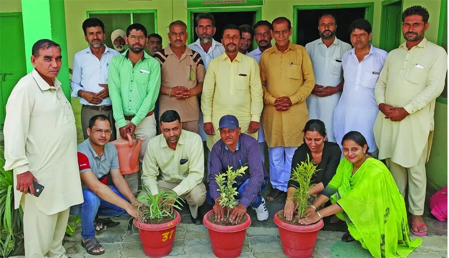 पावन अवतार माह के उपलक्ष्य पर लगाये सजावटी पौधे