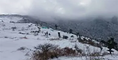 हिमाचल सहित पश्चिमोत्तर में कुछ स्थानों पर वर्षा