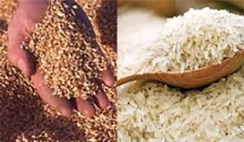 सरकारी गोदामों से गेहूं, चावल चुराने वाले गिरोह के 4 सदस्य काबू