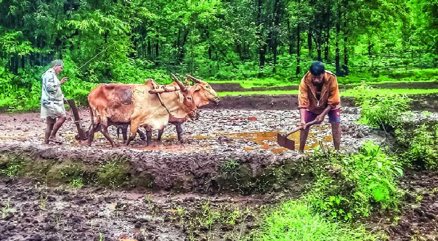 अन्नदाता की आय सुरक्षित करने की सार्थक पहल