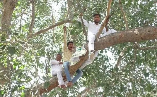 नकली बीज बेचने के विरोध में पेड़ पर चढ़े किसान